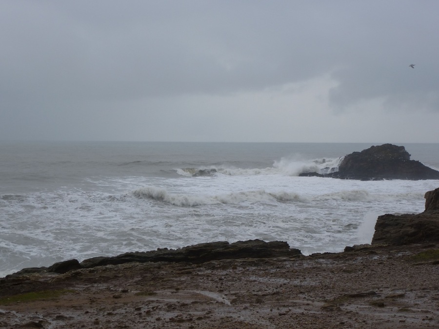 A rocky coastline with rough waves and a cloudy sky.