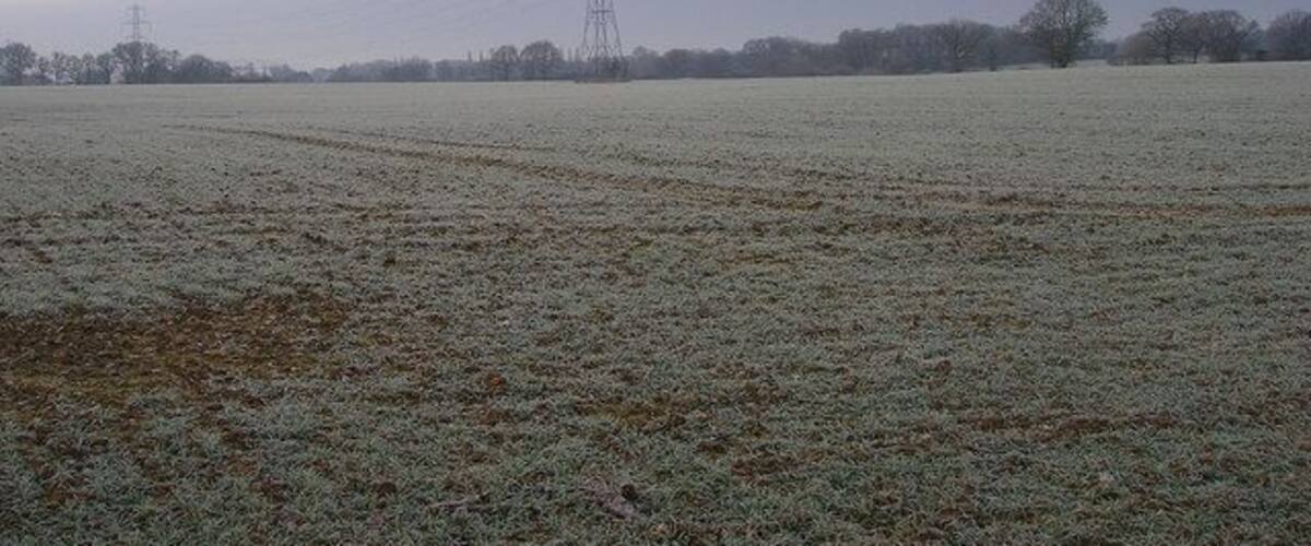 A frosty field with a power line tower in the distance.