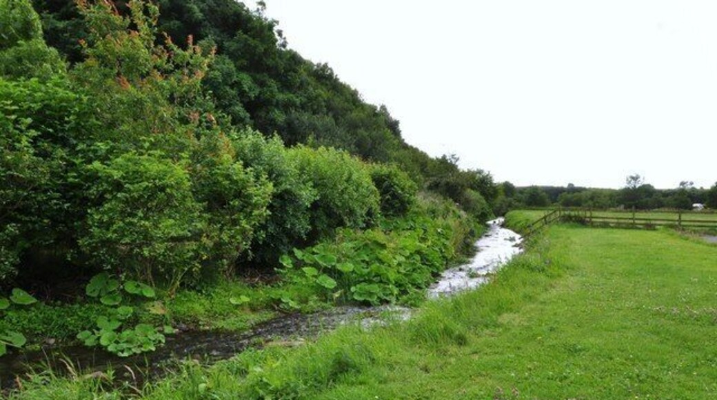 Gleaston stream Large stream or beck running across the SE corner of Gleaston.