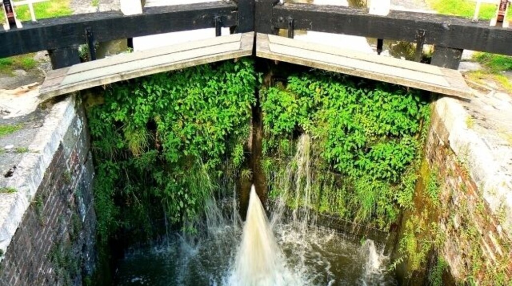 Lock gates, Kennet and Avon canal, Wootton Rivers A bit leaky and with a healthy growth of vegetation, the gates do well enough for long enough to allow a boat through as other images for this square will show.