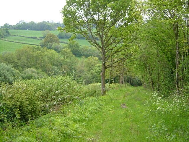 Charmoor Lane. This green lane descends towards a ford across the River Ding.