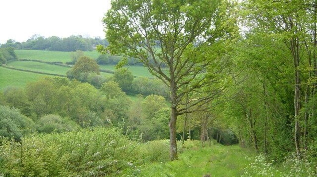 Charmoor Lane. This green lane descends towards a ford across the River Ding.