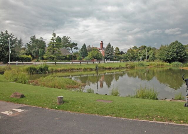 A park with a pond, grassy areas, trees, and a building in the background.