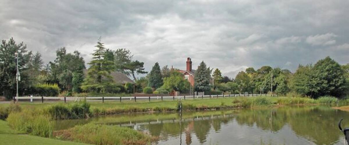 A park with a pond, grassy areas, trees, and a building in the background.