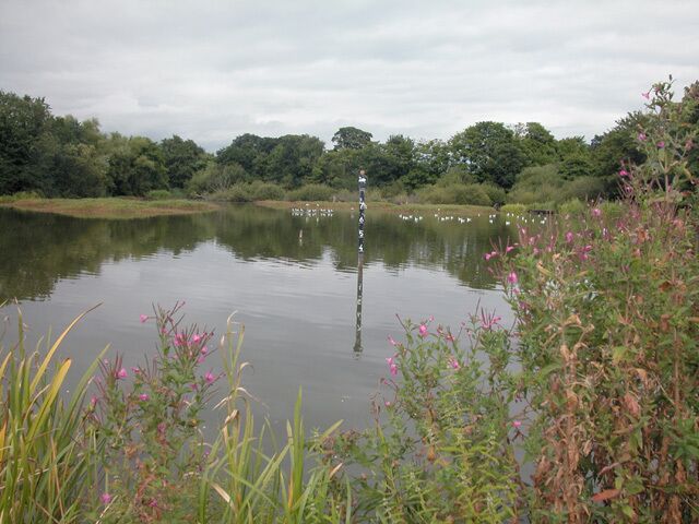 Christleton Pond. Adjacent to the pond was a house named Pit Farm which could indicate that the pond was originally some form of pit which after it reached the end of its useful life, filled with water.