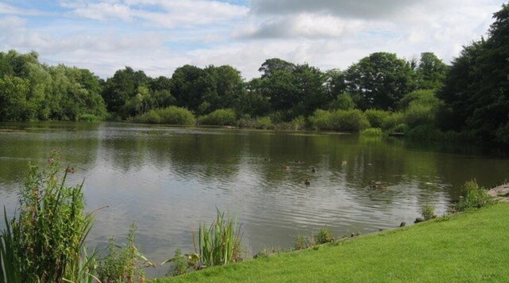 Christleton Pond