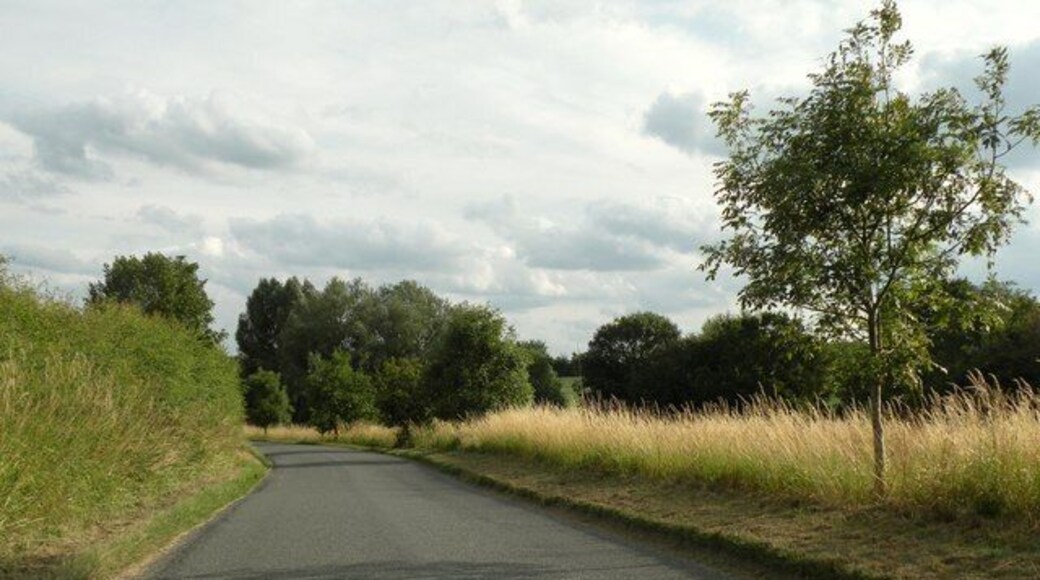 The road to Denston from Wickham Street