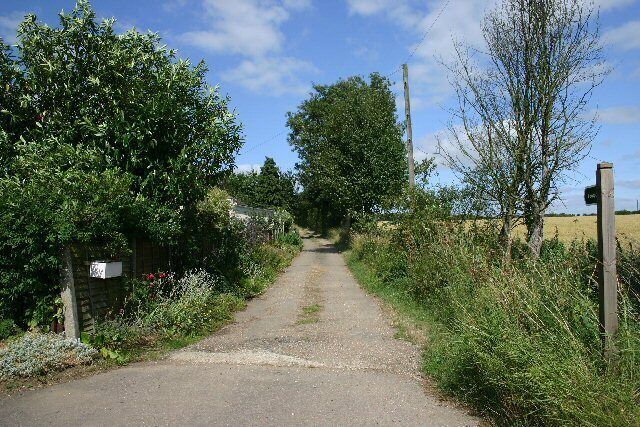 A rural road flanked by greenery and a wooden gate.