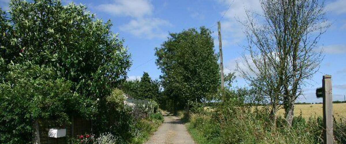 A rural road flanked by greenery and a wooden gate.