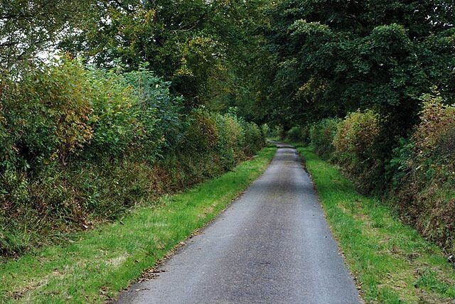 Minor road south of the A475 The minor roads just here seem quite broad between the hedges, although the tarmac is only narrow. This one heads in the general direction of Llanybydder.