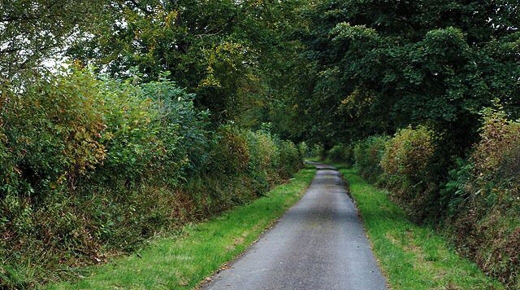 Minor road south of the A475 The minor roads just here seem quite broad between the hedges, although the tarmac is only narrow. This one heads in the general direction of Llanybydder.