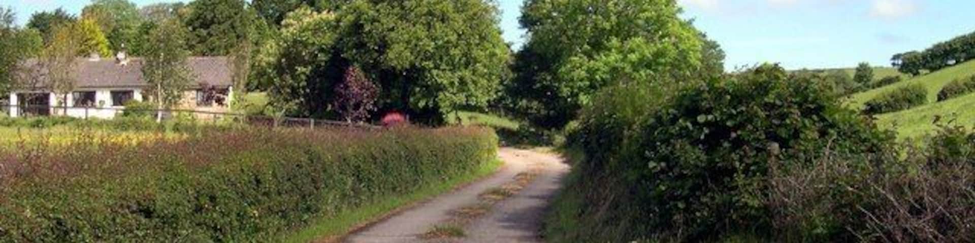 Uma estrada rural estreita ladeada por sebes e árvores, conduzindo a uma casa ao longe.