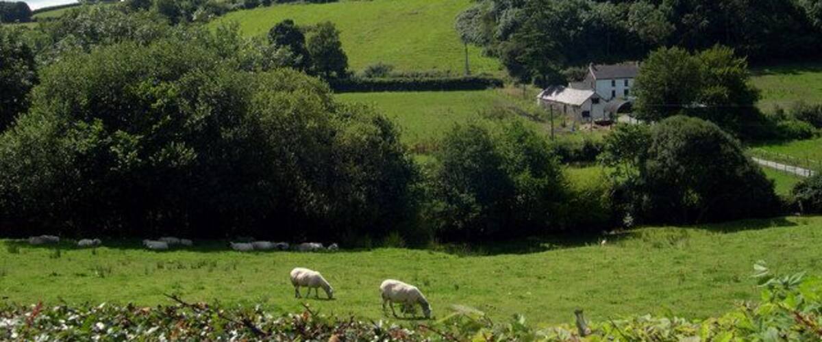 Cwmnant farm from B4338