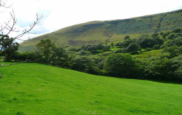 View across the wooded upper Tawe valley Pastures of Blaen-car in the foreground and the west side of Allt Fach in the background.