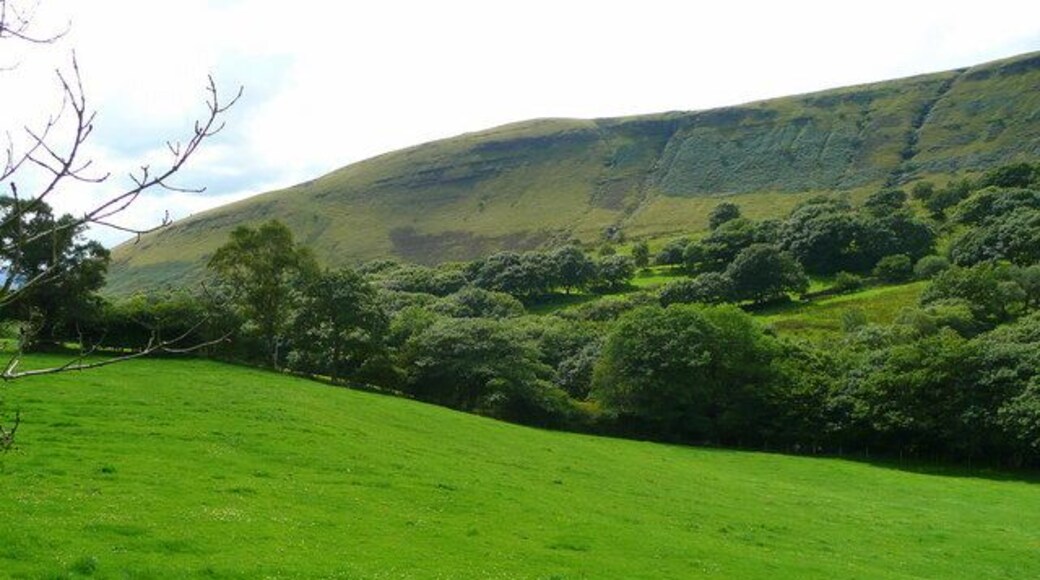 View across the wooded upper Tawe valley Pastures of Blaen-car in the foreground and the west side of Allt Fach in the background.
