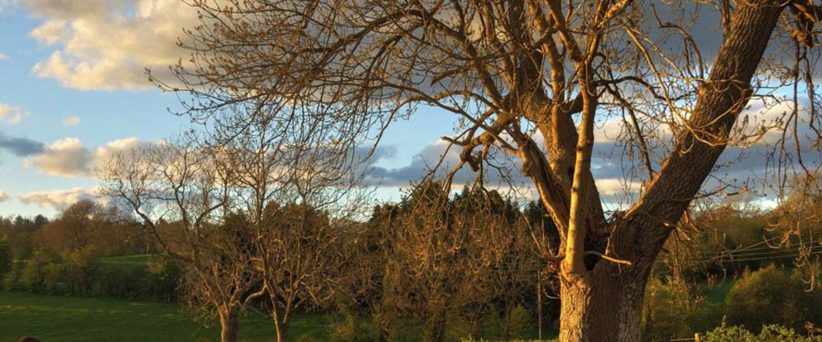 Behind The Church Hall