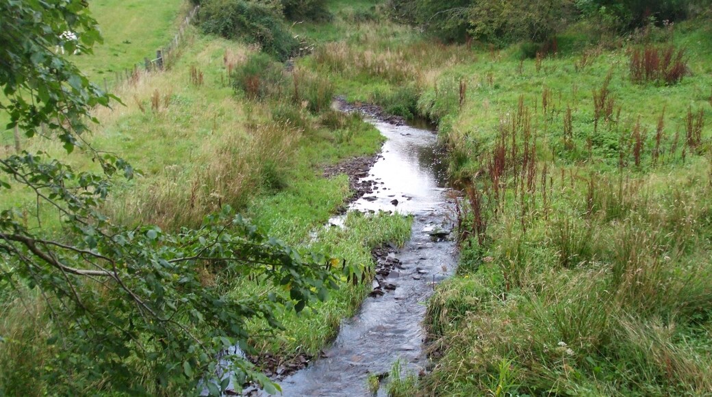 Stream near the cottage