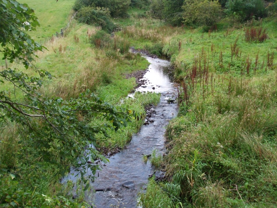 Stream near the cottage