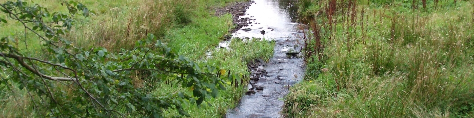 Stream near the cottage