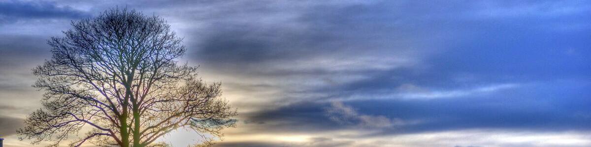 Thornhill - North Common