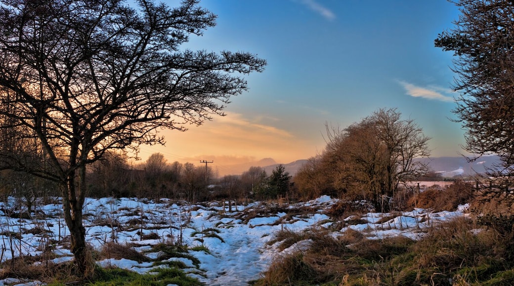 Thornhill - North Common Winter Sunset