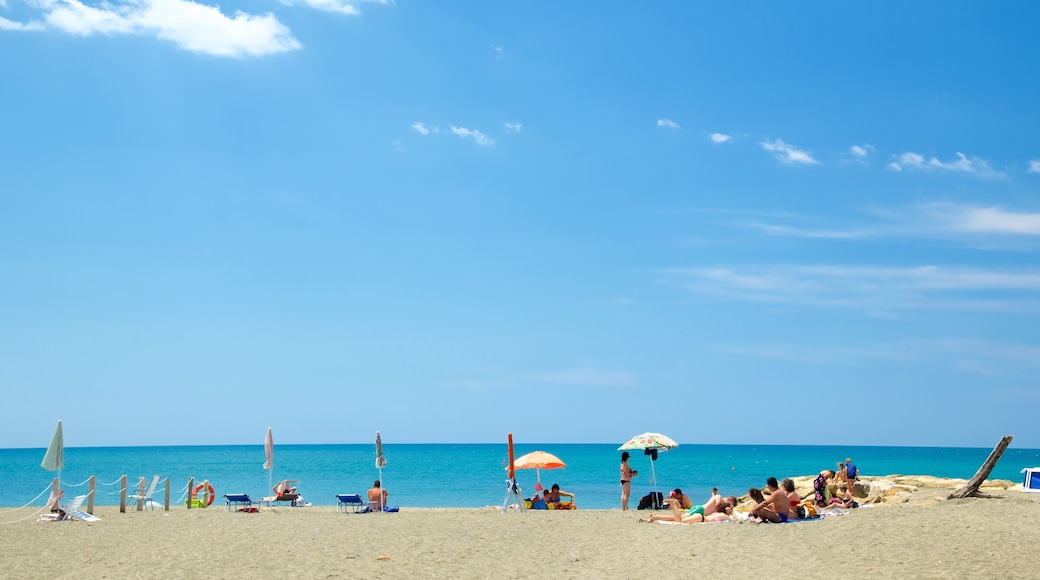 タルクィーナ フィーチャー ビーチ 及び 大勢の人々