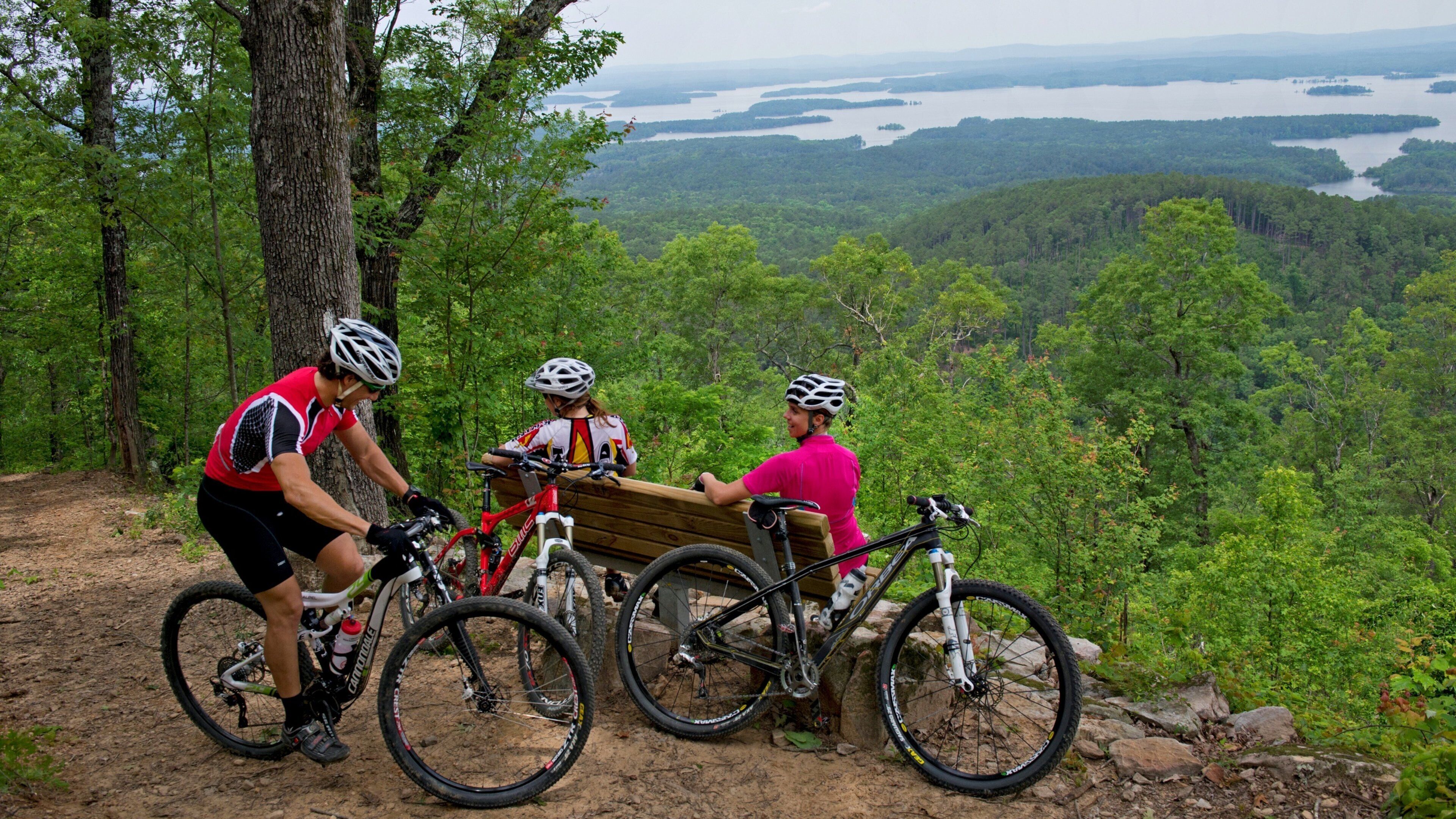 Lake Ouachita State Park showing landscape views, mountain biking and tranquil scenes