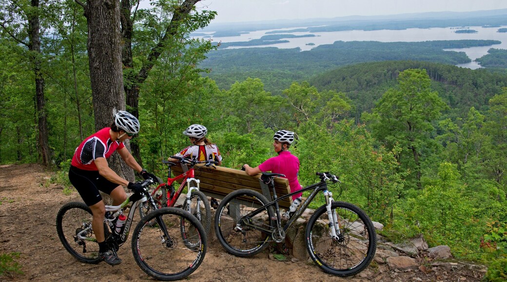 Lake Ouachita State Park showing landscape views, mountain biking and tranquil scenes