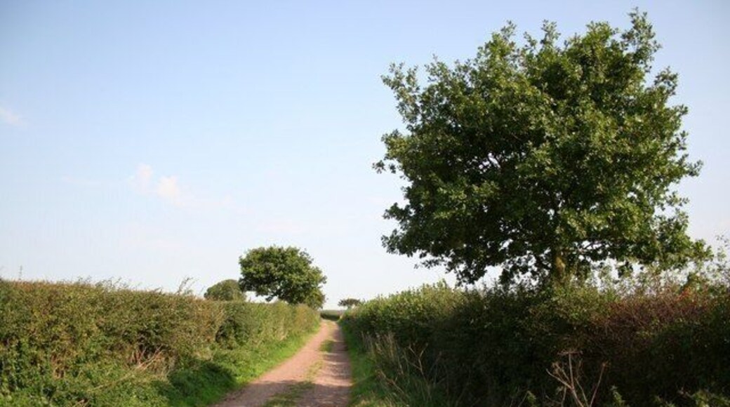 Footpath to Weston. Lane near Moorhouse heading towards the A1 and on to Weston