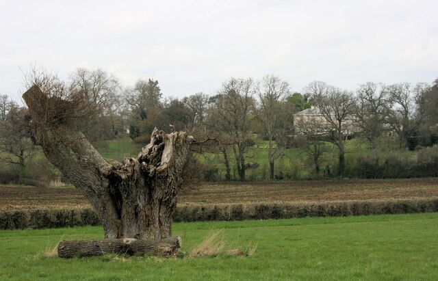 Leigh Court from the south east