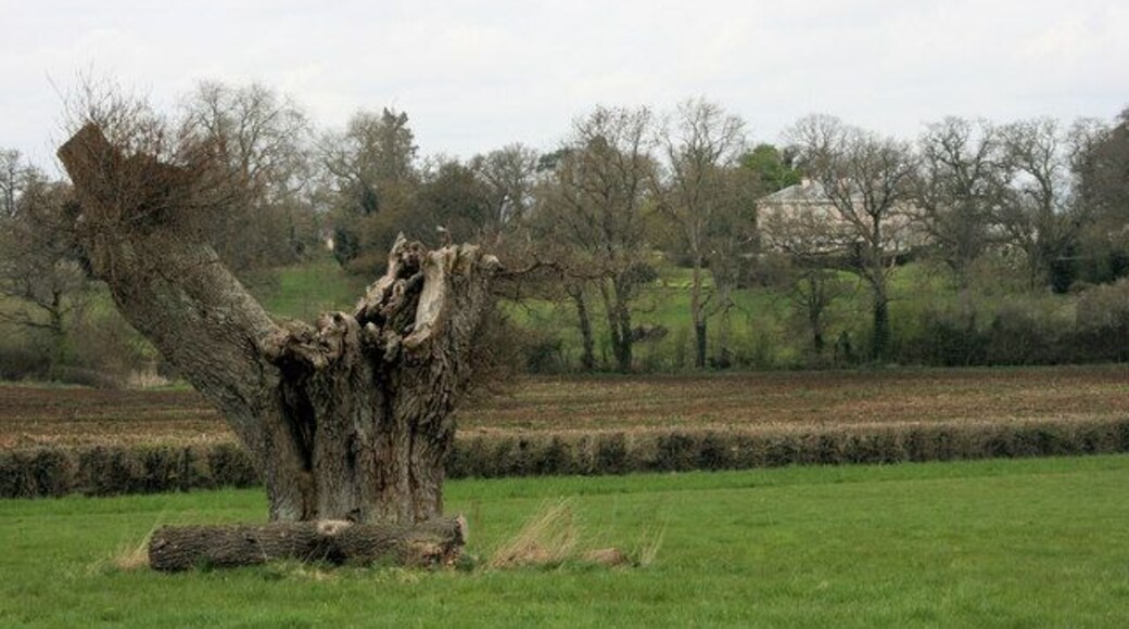Leigh Court from the south east