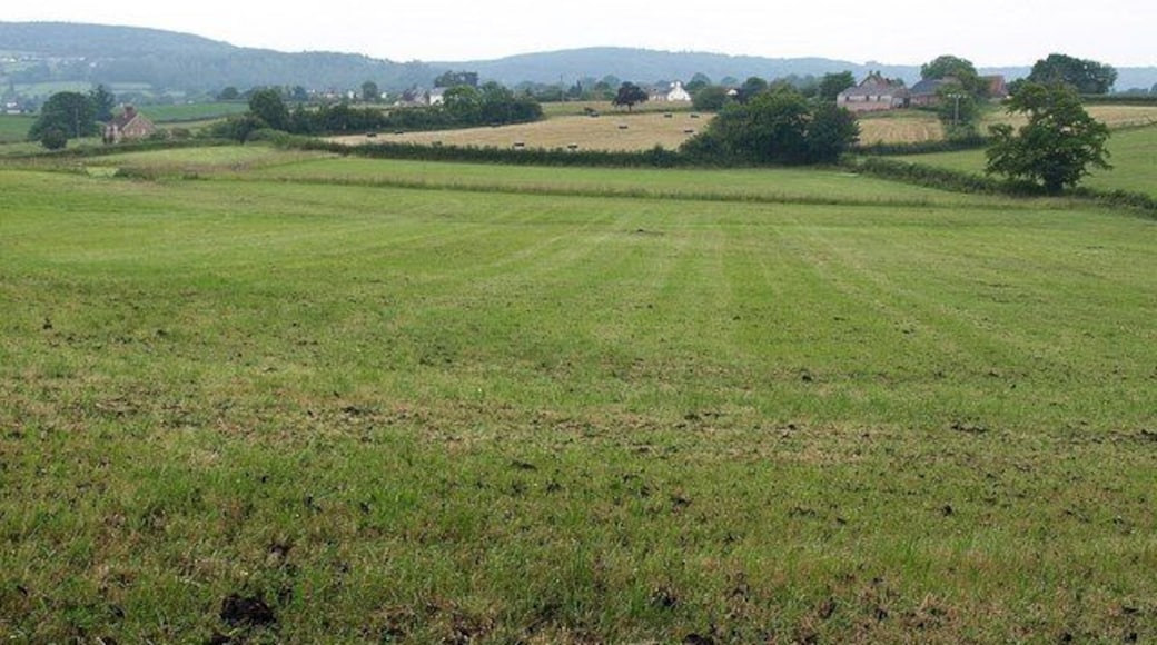Countryside near Sellick's Green. From footpath T 21/21 as it runs alongside the southern edge of 1312691. The farm on the right is Goose Hill.