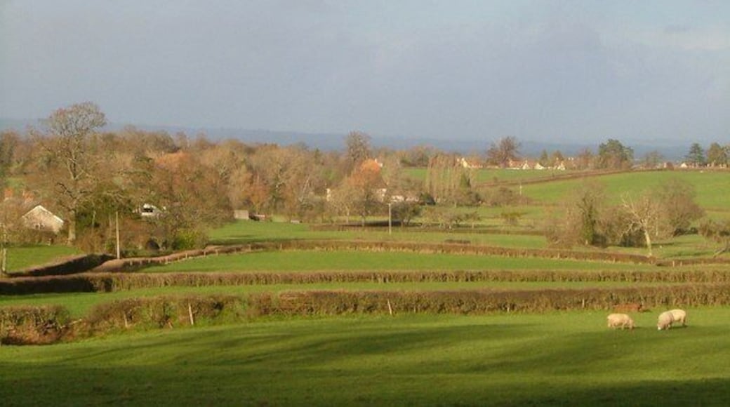 Fields, Woodram. From the same spot as 1609724. There is overlap on the left, with Middle Woodram Farm beside Woodram Lane. Largely hidden by trees left of centre is Lower Woodram Farm, just into ST2219. In the centre is Woodram Mead, with the village of Corfe beyond, in ST2319.