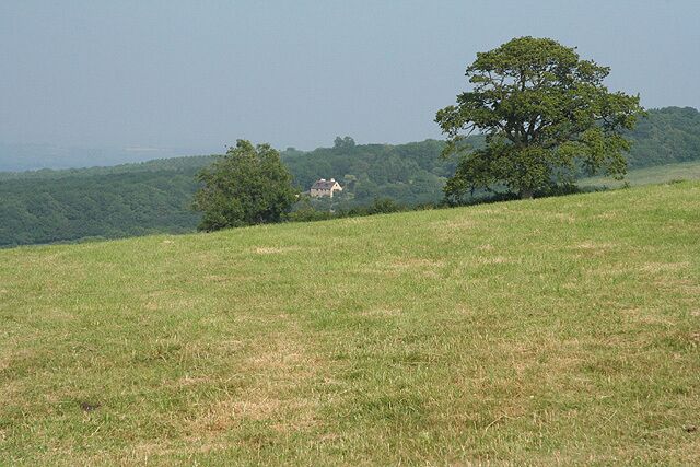 Pitminster: on Adcombe Hill. Looking east-south-east towards Hurleys Farm on a sultry July afternoon