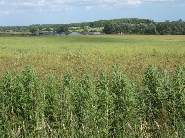 Farmland east of Charsfield, looking to Prospect Farm