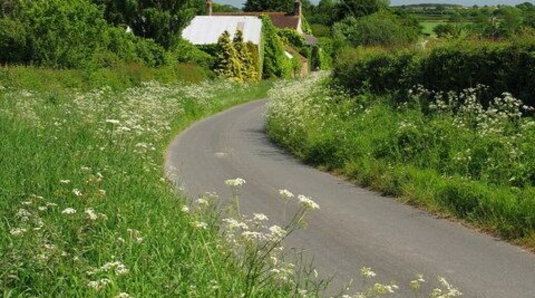 Gallow Hill House Looking east along Holmebeck Lane.