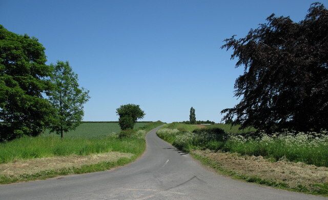 A rural road curving through a field with trees on both sides.