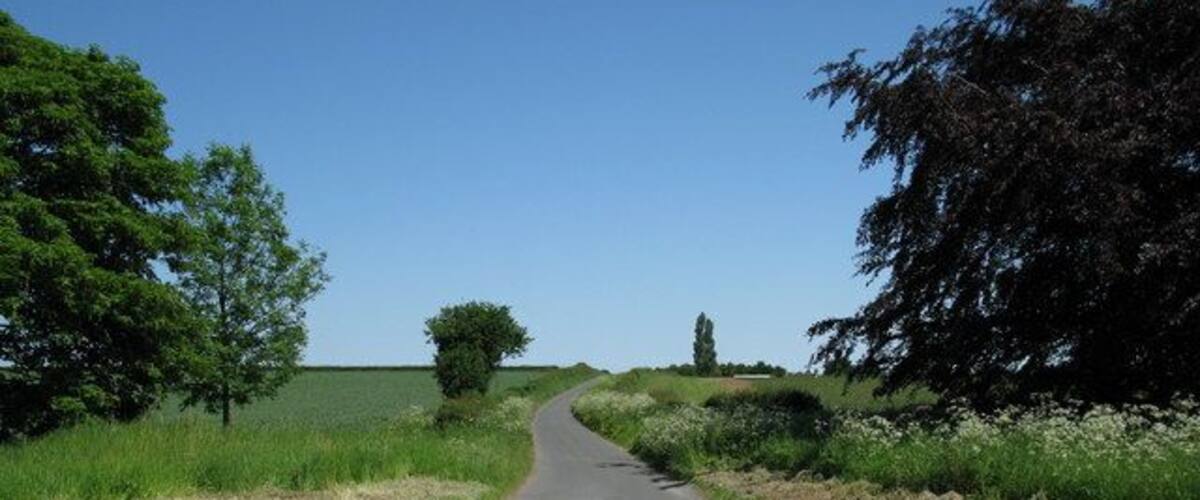 A rural road curving through a field with trees on both sides.
