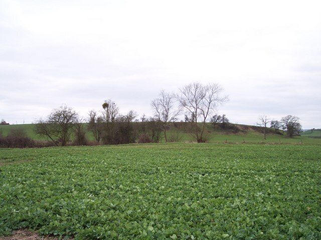 Denny Hill. Looking south west from Brook Farm