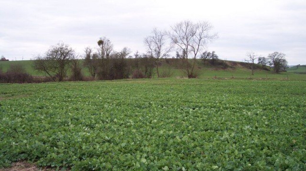 Denny Hill. Looking south west from Brook Farm