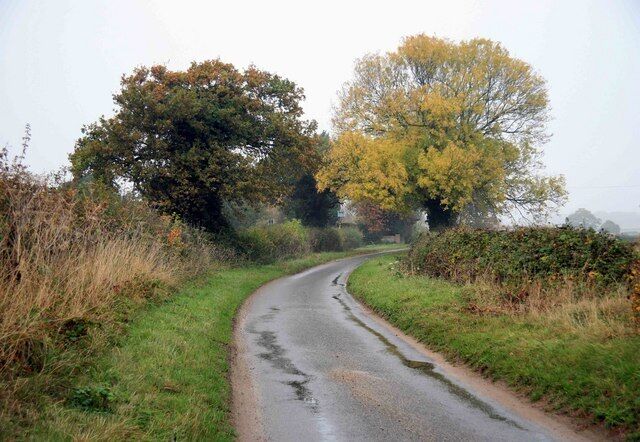 Autumn tints The rural lane nr Clipstreet farm with some nice autumn colours.
