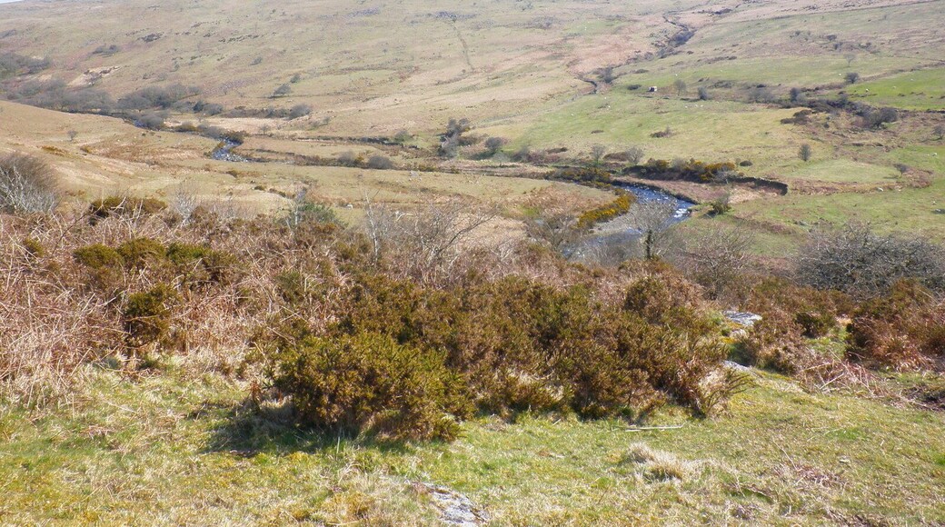 Looking down to the River Erme