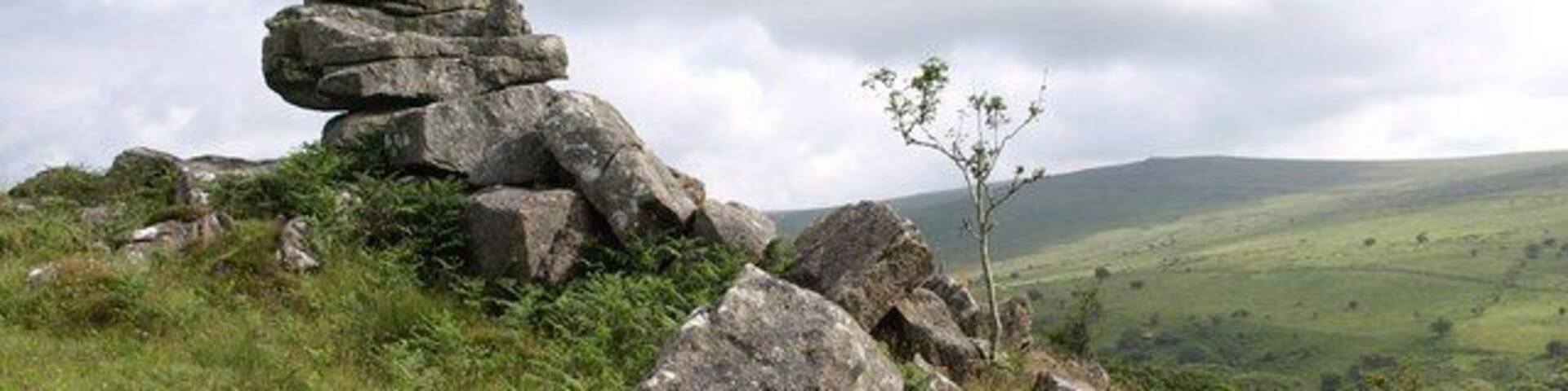A grassy hill with large rocks and a small tree.
