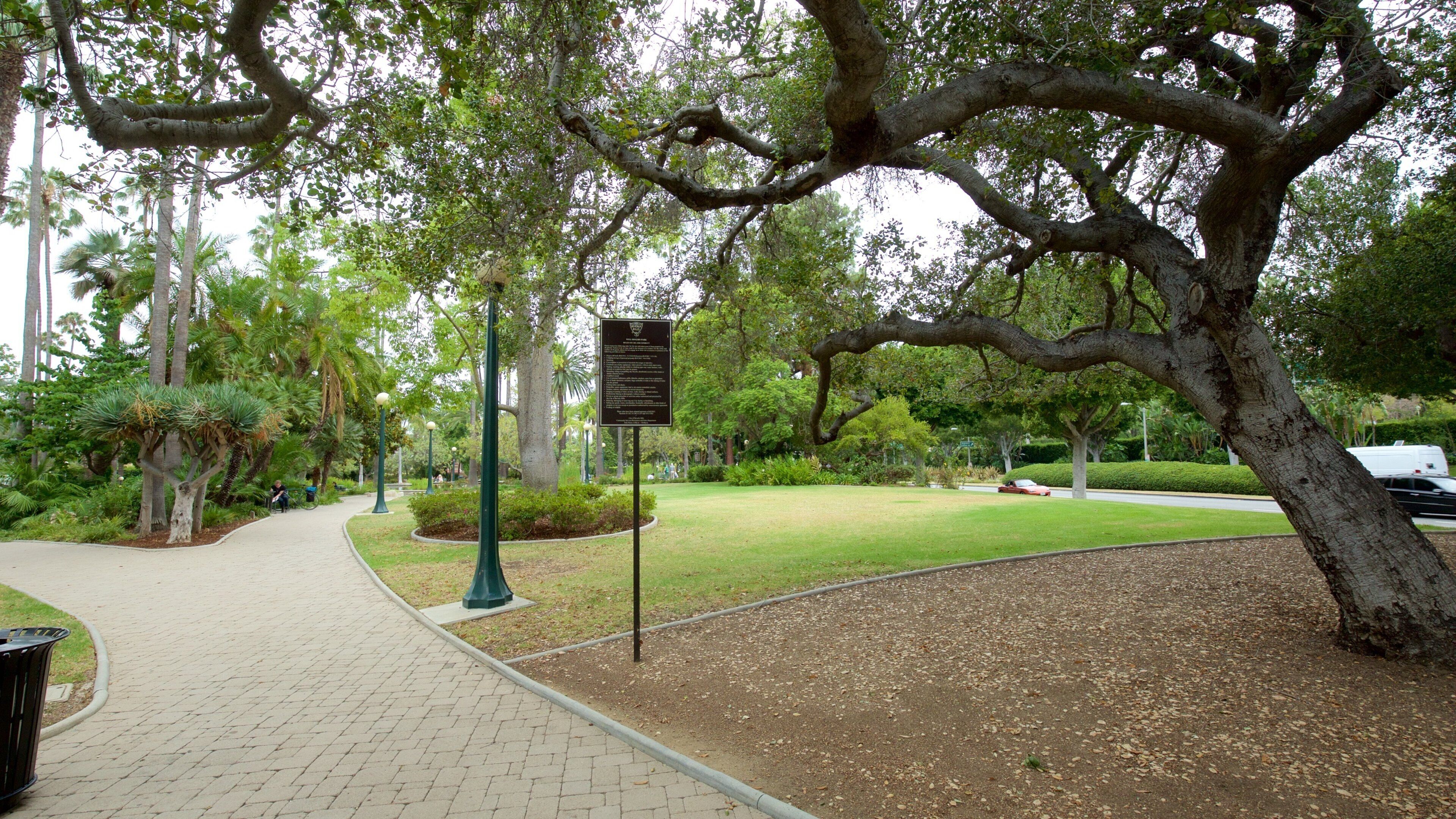 Beverly Hills featuring a park