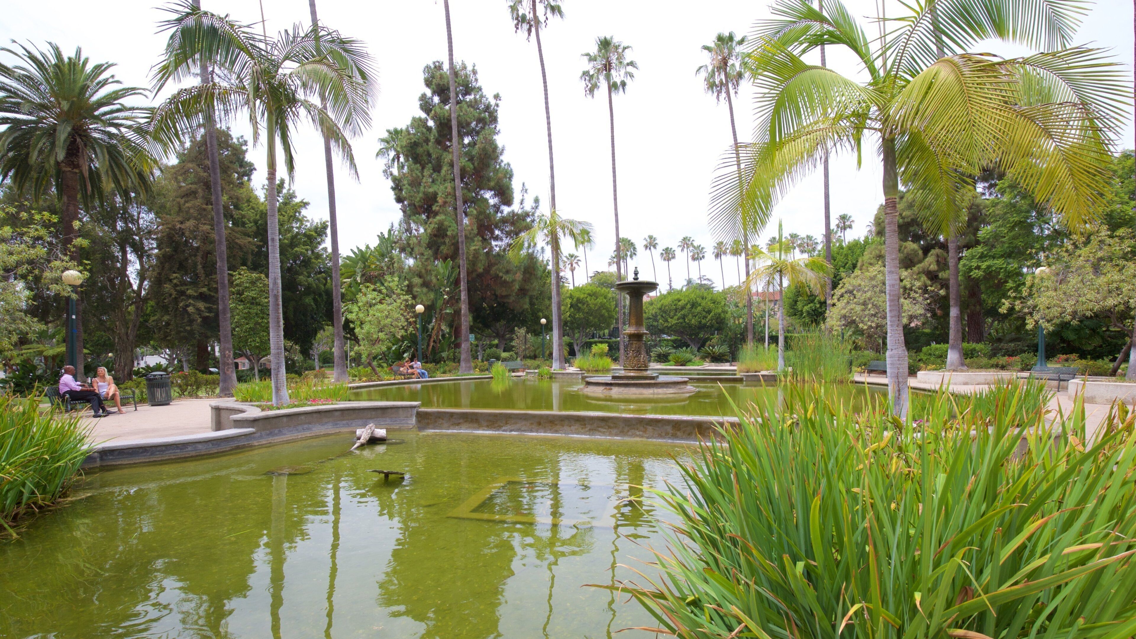 Beverly Hills showing a pond