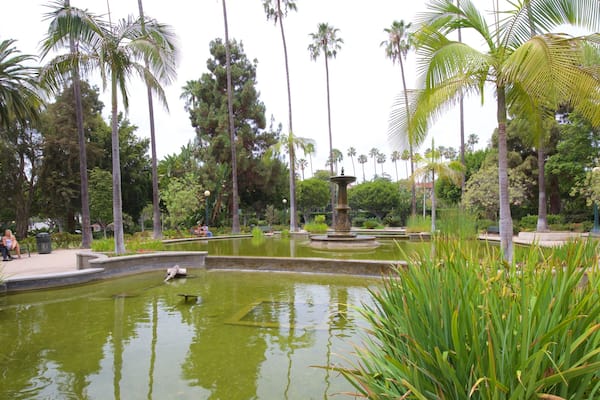 Beverly Hills qui includes mare