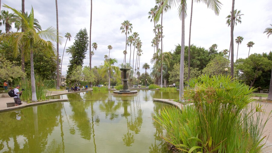 Beverly Hills caracterizando um lago