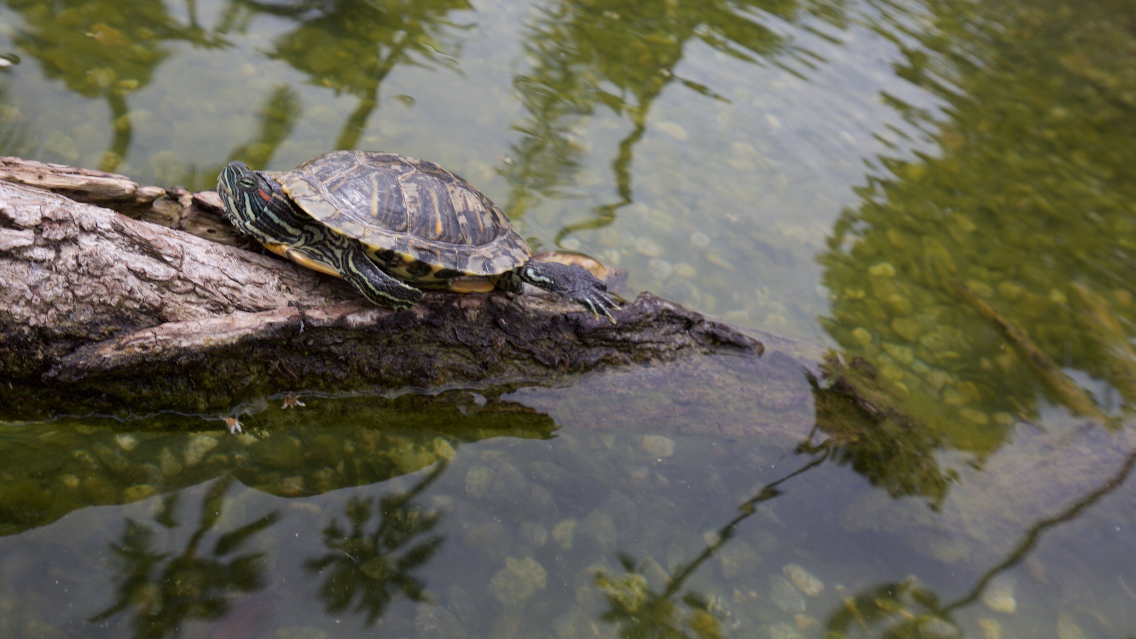 Beverly Hills which includes marine life