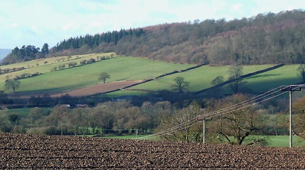 Farmland and Hillside, near Kenley, Shropshire