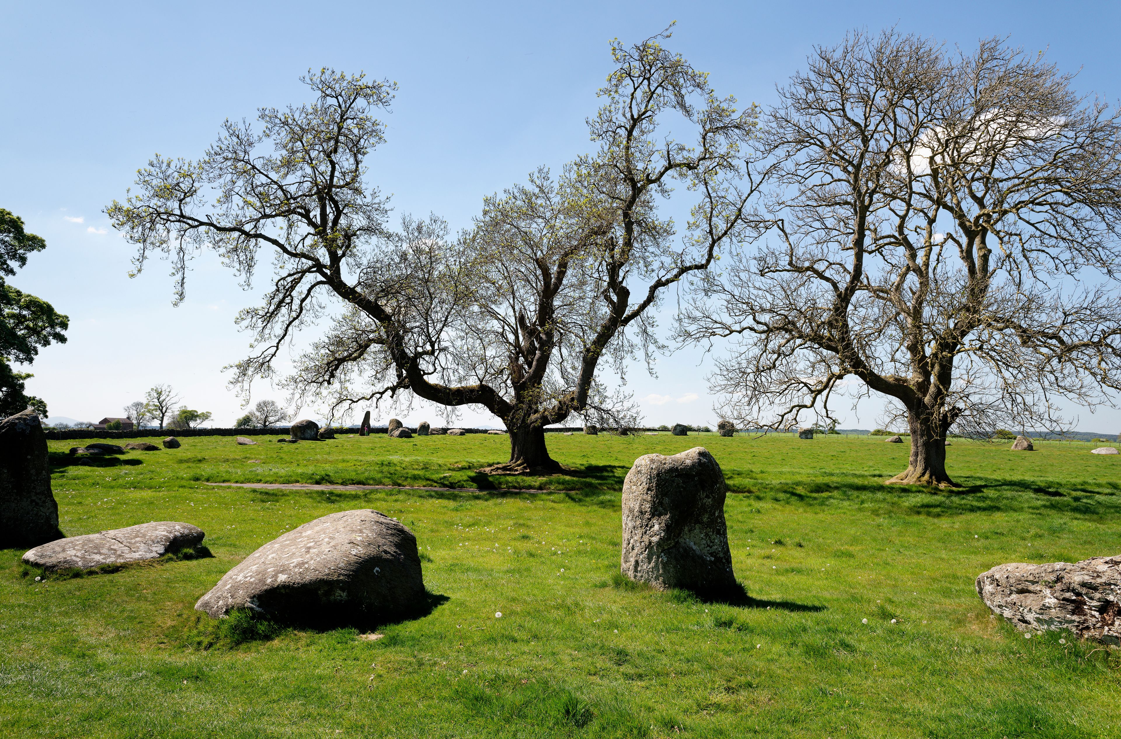 Un campo cubierto de hierba con varias rocas grandes y árboles con pocas hojas.